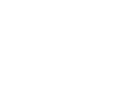 Adecco - ACF Fiorentina