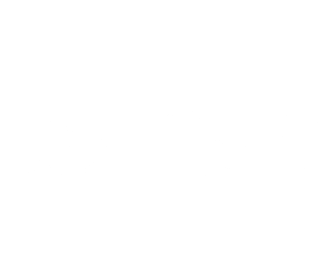 Il Giglio Lavanderia - ACF Fiorentina