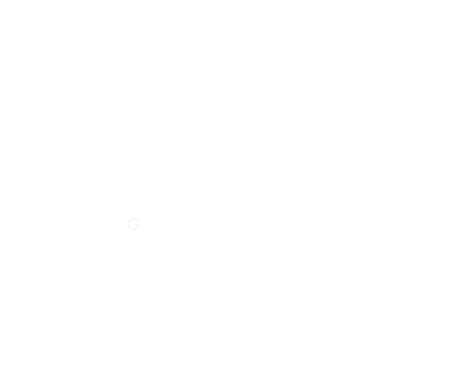 Alpha - ACF Fiorentina