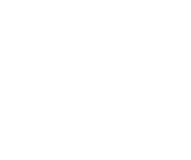 Etermet - ACF Fiorentina