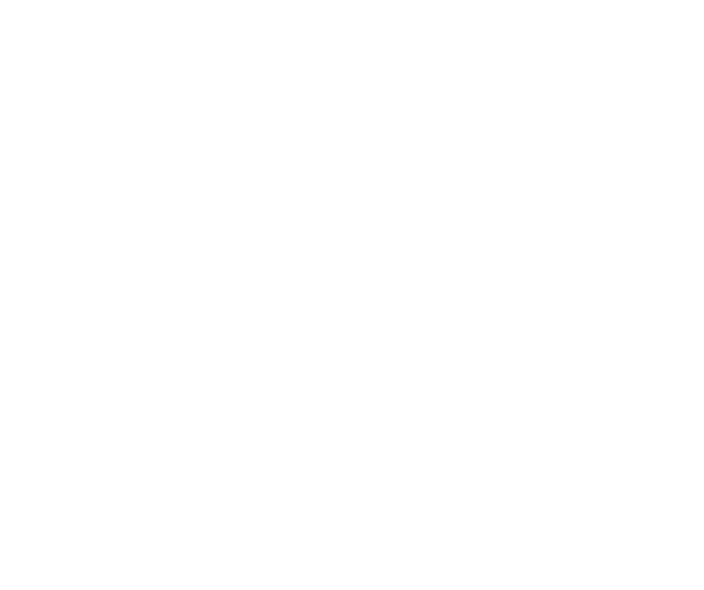 Cartiere Carrara - ACF Fiorentina