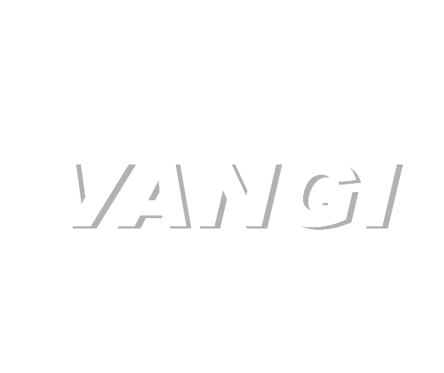 Vangi - ACF Fiorentina